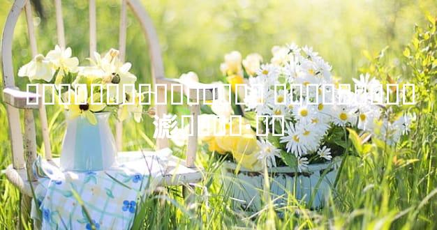 ���˵�ʮ�ָ������� ���������